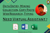 do data entry, typing job, mining, web research, ms excel data entry, copy paste