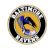design high quality houston ravens logo