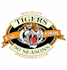 make creative lion tiger logo with mascot style