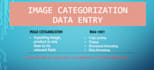 do data entry and image categorization