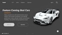 do full stack animated website development and web design