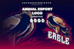 create high quality mascot bird eagle logo