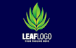 design awesome and gorgeous leaf logo