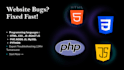 provide professional website debugging and repair service
