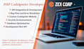 build codeigniter website, fix and enhance your website