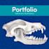make professional veterinary medical illustrations