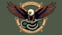 do modern eagle and snake fighting logo with unlimited revisions