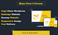 copy, clone, design and redesign wordpress website