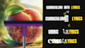 motion design logo animate