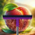 motion design logo animate