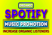 do professional spotify album promotion