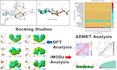 perform the docking, dft, pharmacokinetic and imods analysis