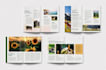 design editable canva ebooks, fillable workbook, lead magnet, catalog, magazine