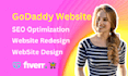 create professional godaddy website design SEO optimization