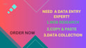 do data entry, copy paste and web research