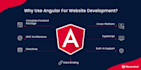 develop angular react website with node js csharp backend