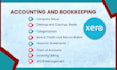 do xero bookkeeping,bank reconciliation,xero clean up