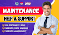 provide maintenance and support for your wordpress website