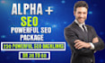 do powerful alpha SEO package 250 powerful backlinks rank your website
