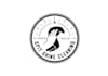 design captivating spit shine cleaning logo