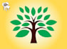 create a beautiful and professional tree logo design