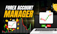 manage your mt5 and mt4 account, account management profitable