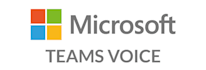 set up and manage ms teams phone system