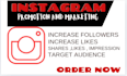 do super fast organic instagram growth, instagram promotion