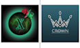 create a professional logo at in a budget