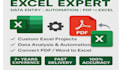 create excel database, data entry, pdf to excel conversion