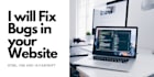 fix bugs of your website