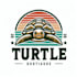 design professional turtle logo