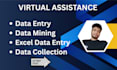 do accurate data entry, data mining and excel data entry job