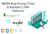 fix bugs in your mern stack project