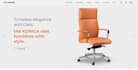 build your professional wordpress website