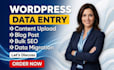 wordpress data entry, seo content upload and bulk blog post