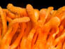 provide expert consulting about the functional mushroom industry