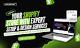 build a professional shopify store ready to sell