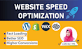 website speed optimization for wordpress, shopify, wix and squarespace website