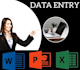 do  data entry, copy paste, web research, PDF to ms excel