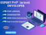 be your expert full stack PHP laravel developer, website developer