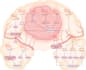 design scientific illustrations, journal figures, and graphical abstracts