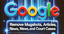 delete negative links, remove mugshots, news articles, cases, blogs from google