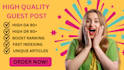 publish high quality guest posts on high da websites