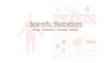 do scientific illustrations and diagrams