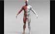 design human anatomy structure 3d body part, realistic organ,print bone, muscles