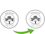 enhance and upgrade your logo to high quality resolution