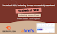 do technical seo and fix page indexing, google search console