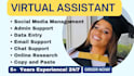 be your virtual assistant for data entry, typing, email and web research