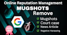 permanently remove mugshots false news erase negative links articles on google